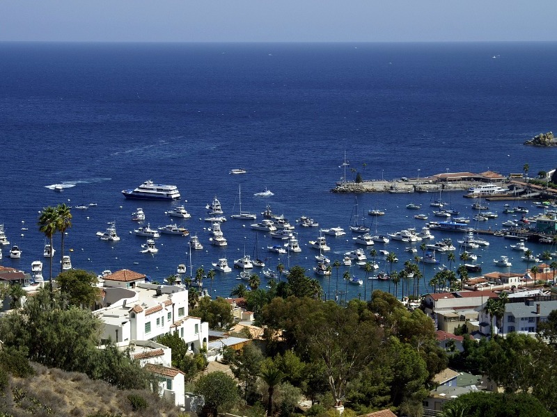 Avalon Harbor, Catalina Island