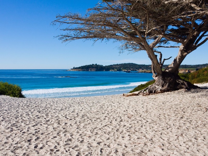 Carmel beach, California