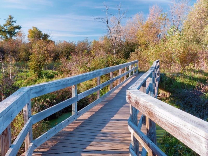 Bridge over marsh at Lake McKusick, Stillwater