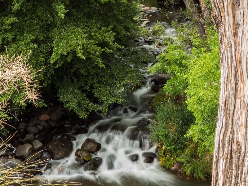 Oak Creek Canyon