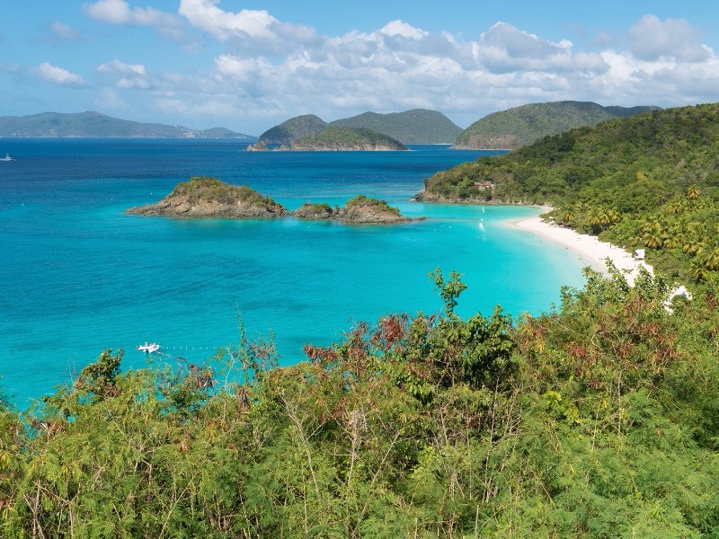 Trunk Bay, St John