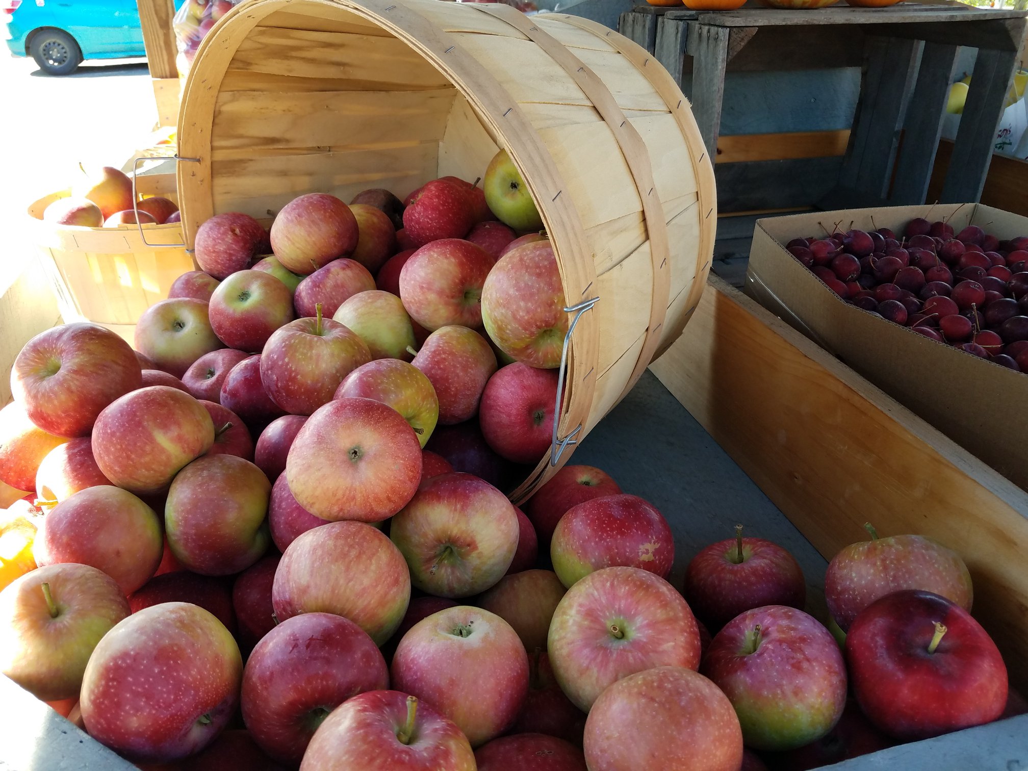 Alyson's Orchard