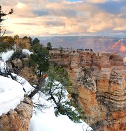 Grand Canyon panorama view in winter with snow