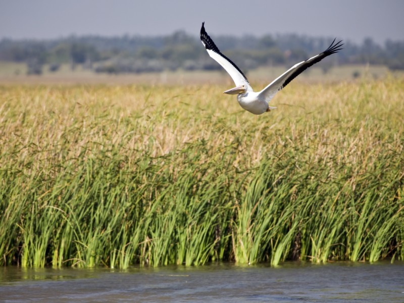 Quivira National Wildlife Refuge in Kansas