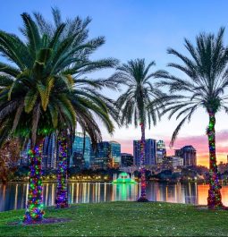 downtown orlando lake eola with palm trees