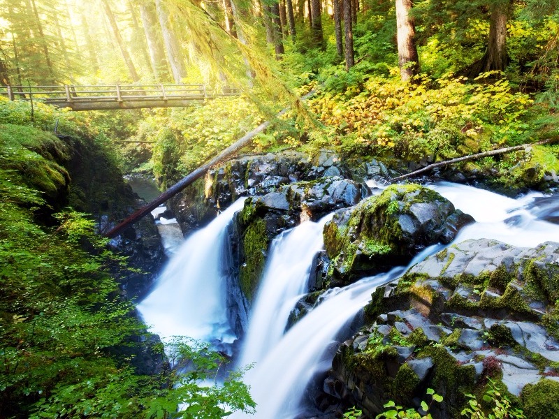 Sol Duc Falls, Hoh Rainforest, Olympic National Park, Washington