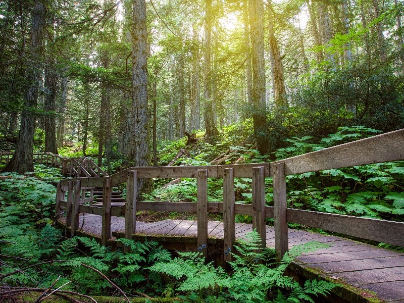 Pacific Rim National Park, Vancouver Island, BC