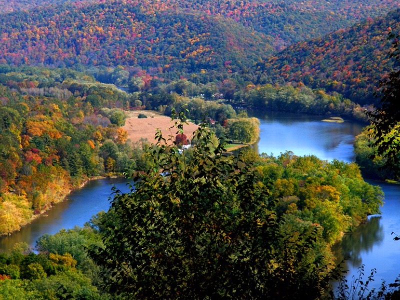 Aerial shot of the Allegheny National Forest