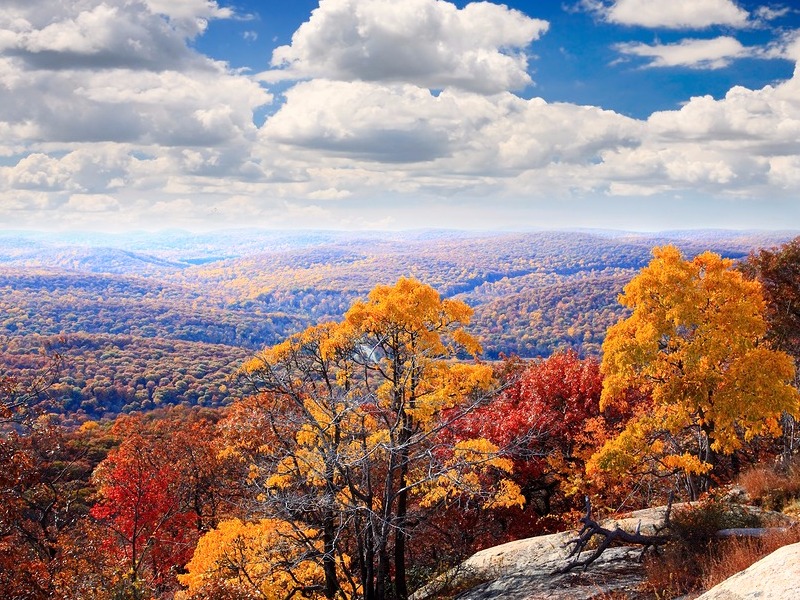 Top of Bear Mountain