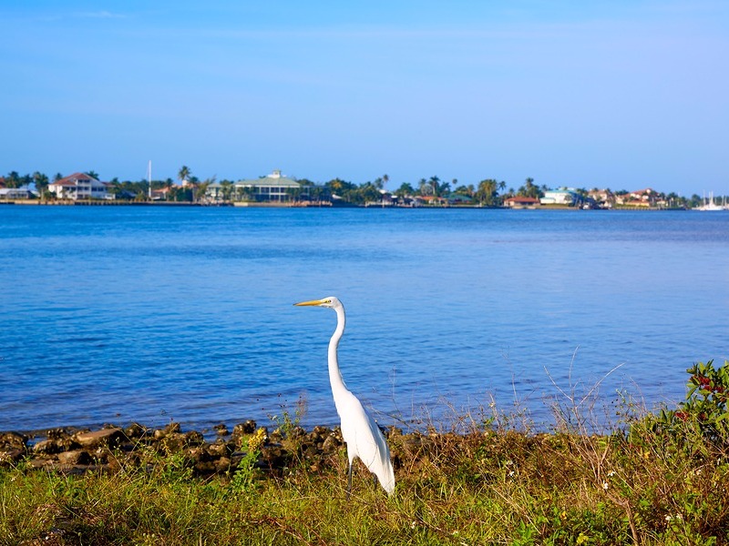 Marco Island view of heron bird