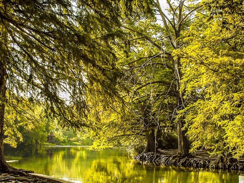 San Marcos River 