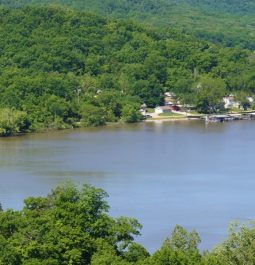 boats dock along the lakeside at Lake of the Ozarks with lush green trees surrounding the lake