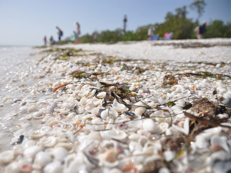 Sanibel, Florida