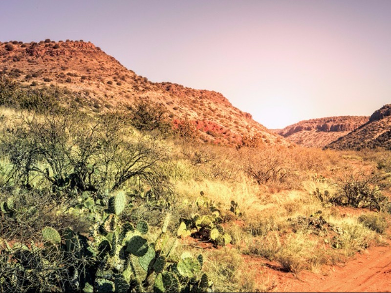 Dirt road in the desert near Cottonwood