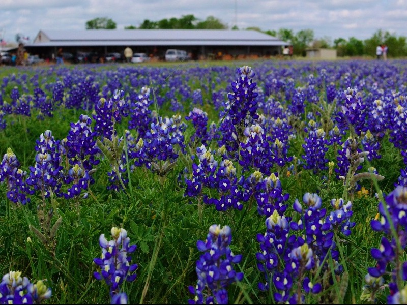 Marble Falls