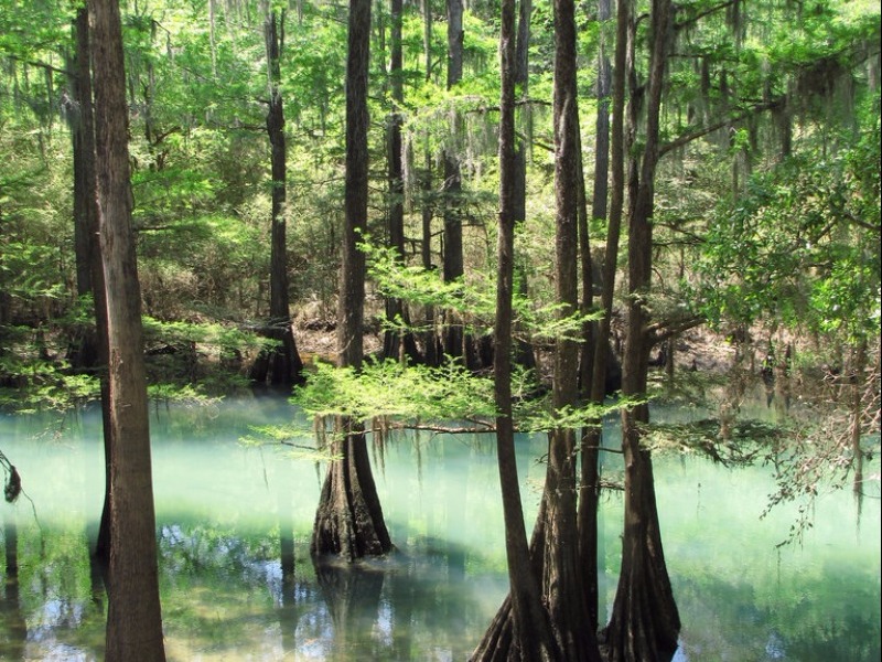 Southern Rivers Park, Radium Springs