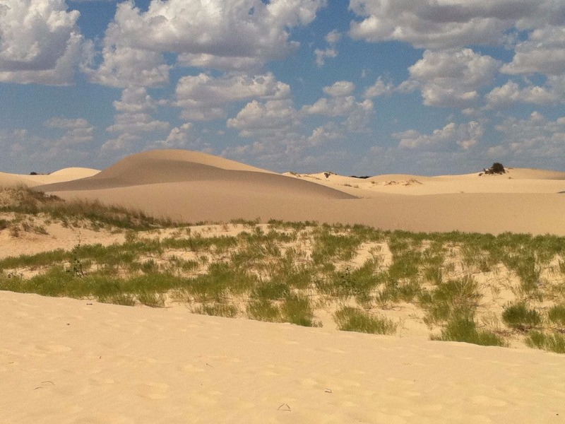 Monahans Sandhills State Park sand dunes