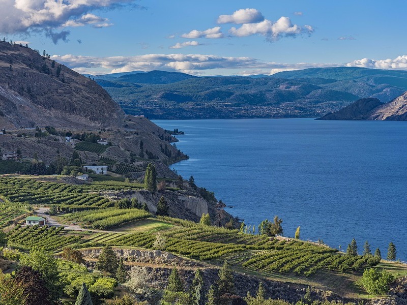 Okanagan Lake near Summerland British Columbia Canada with orchard and vineyard