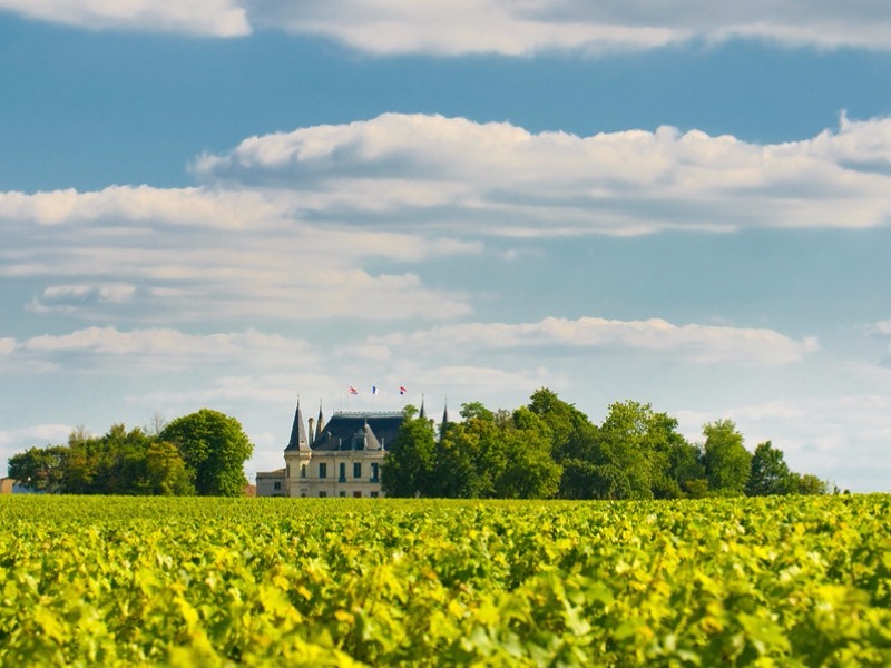 Chateau and vineyard in Margaux Bordeaux