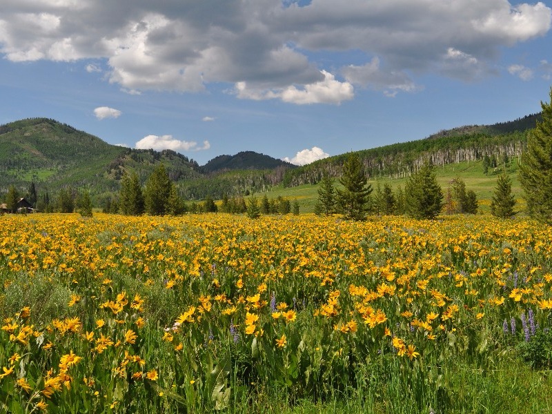 Steamboat Springs, Colorado