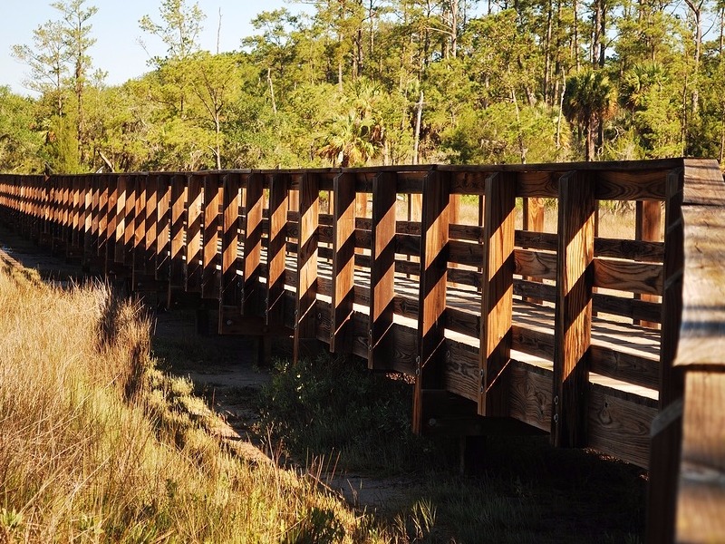 A wooden bridge provides hikers a raised path over the marsh at Skidaway Island State Park