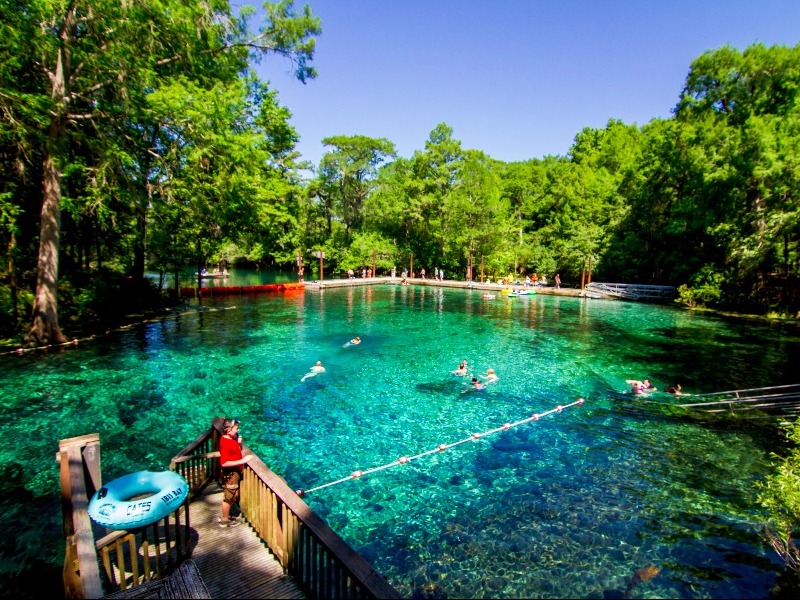 Fanning Springs State Park, Fanning Springs