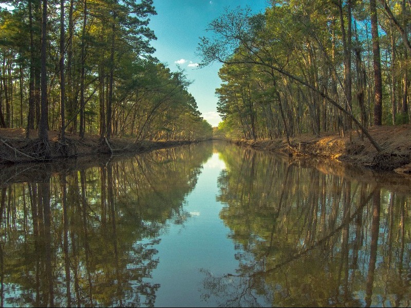 Caddo Lake