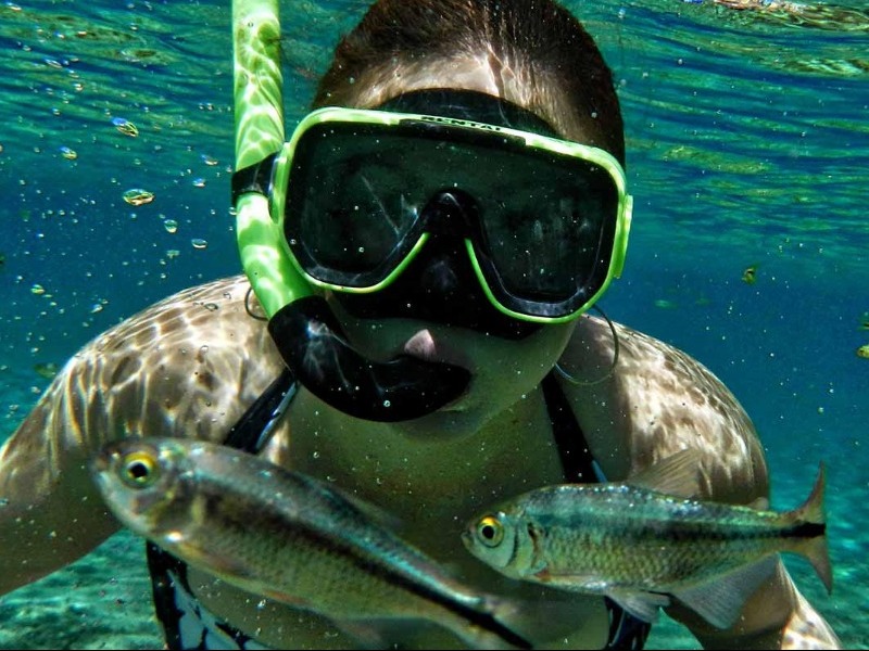 People and fish swim at Balmorhea's pool