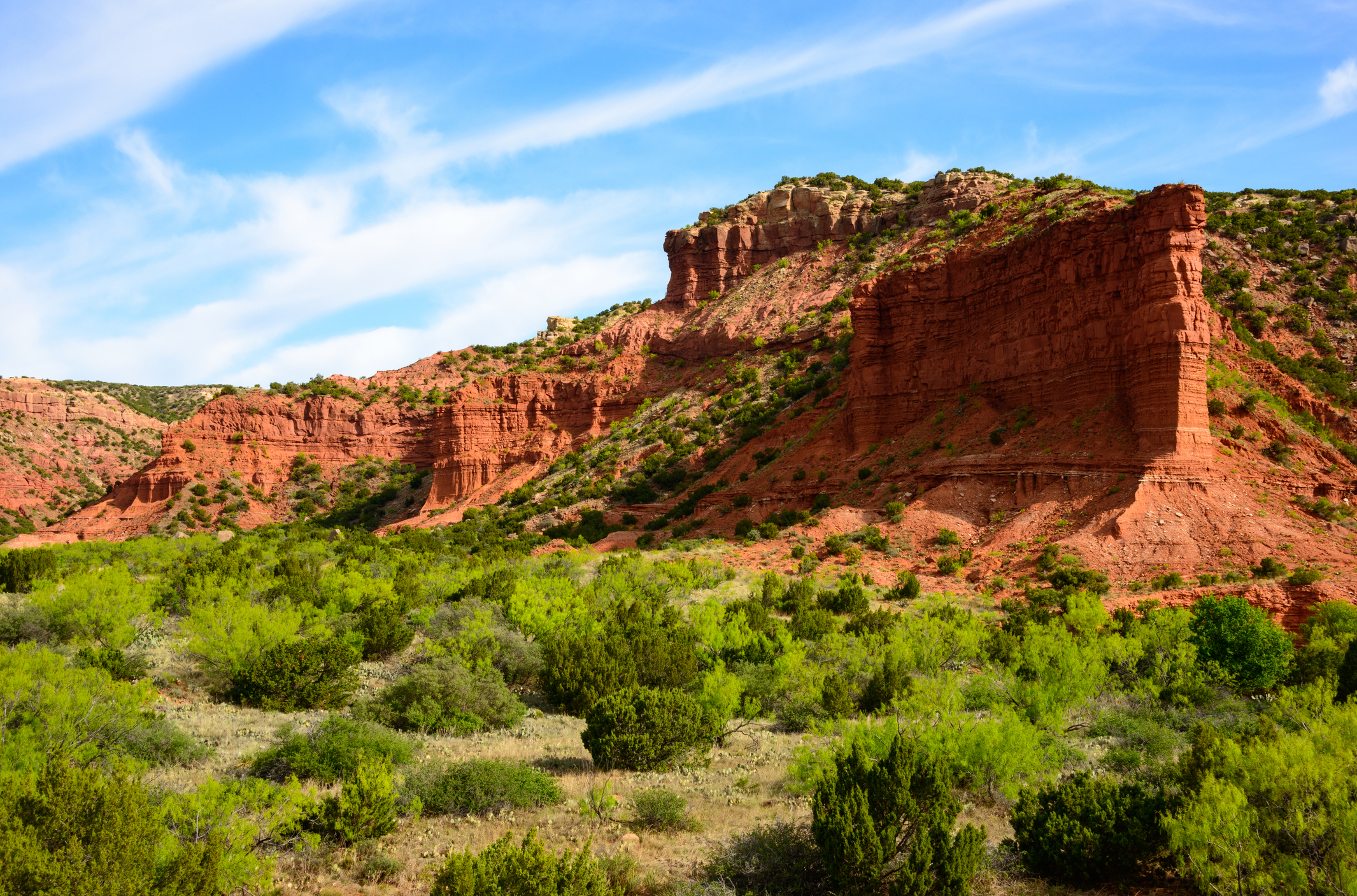 Caprock Canyons State Park