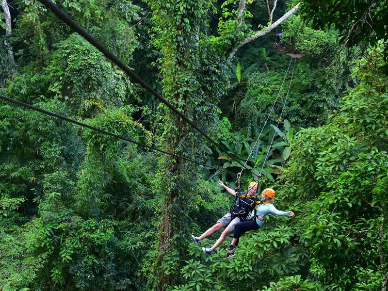 Flight of the Gibbon