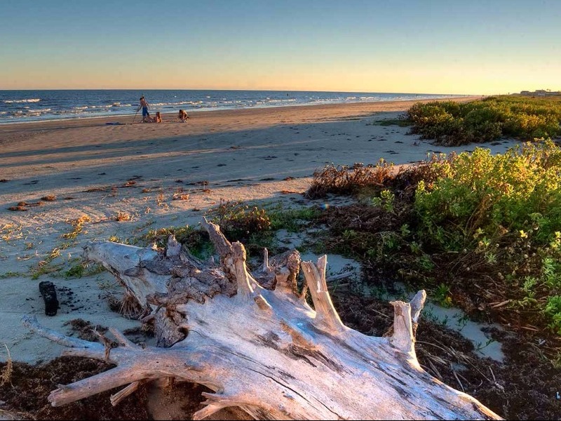 Galveston Island State Park, Galveston