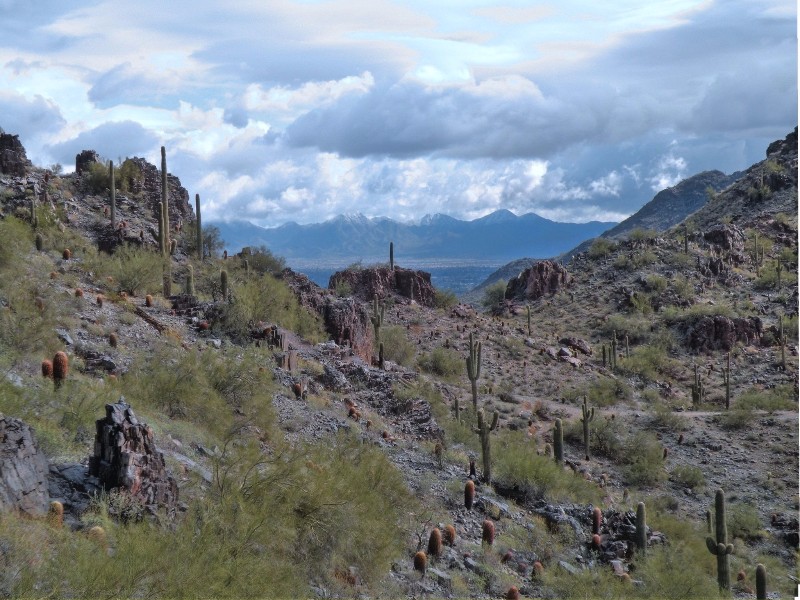 Piestawa Peak Nature Trail Loop