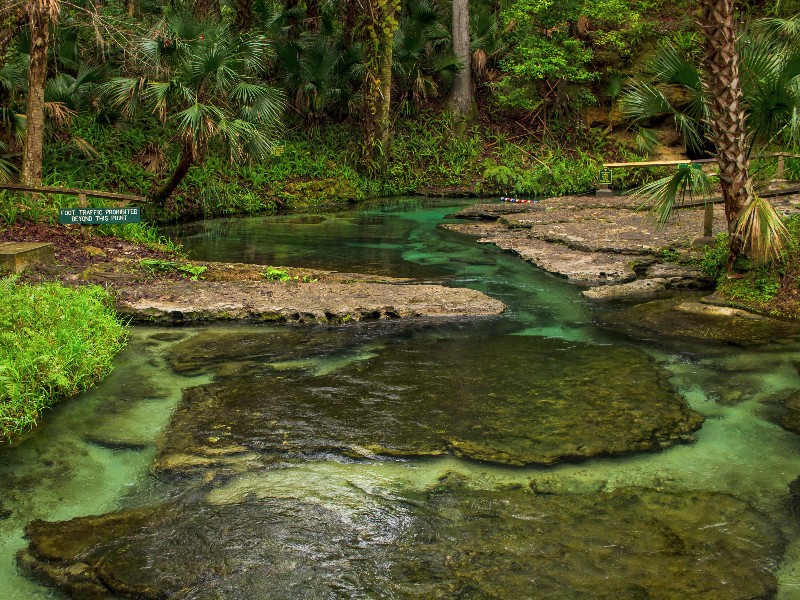 Rock Springs Run at Kelly Park