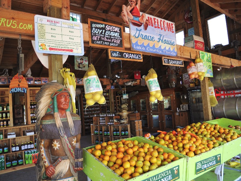 Farm store and market