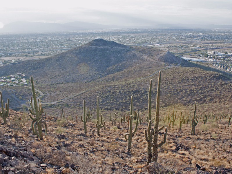 Tumamoc Hill Hike