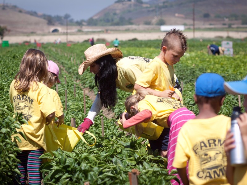 Underwood Family Farms