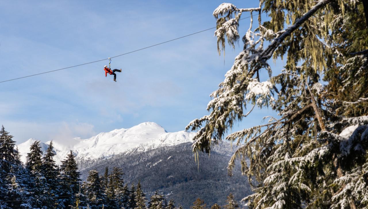 Ziptrek Ecotours, Whistler