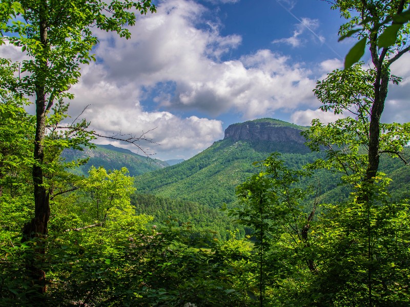 Linville Gorge