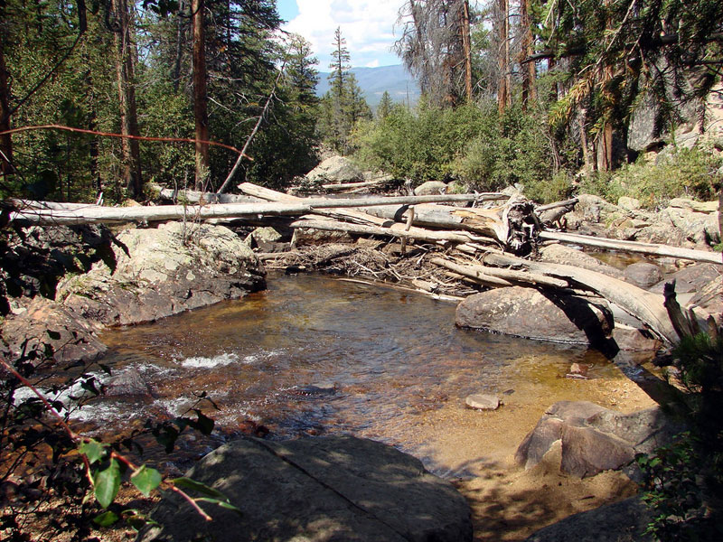 Adams Falls