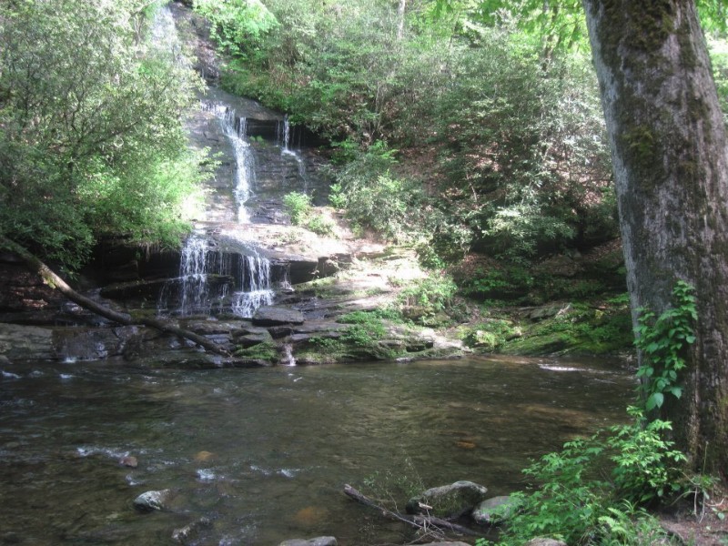 Tom Branch Falls 