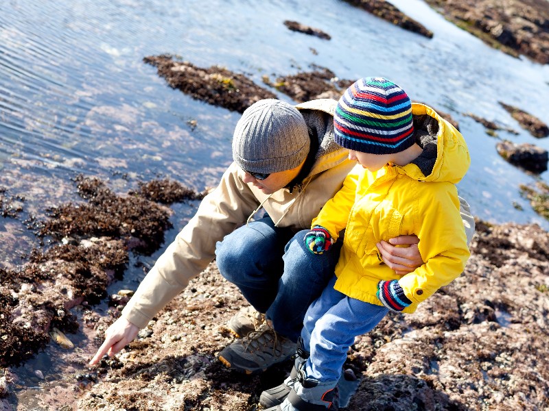 Tide pools, California coast