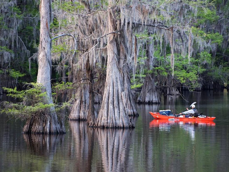 Caddo Lake State Park