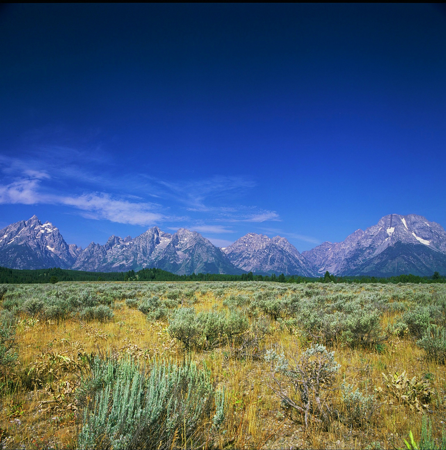 Grand Teton National Park