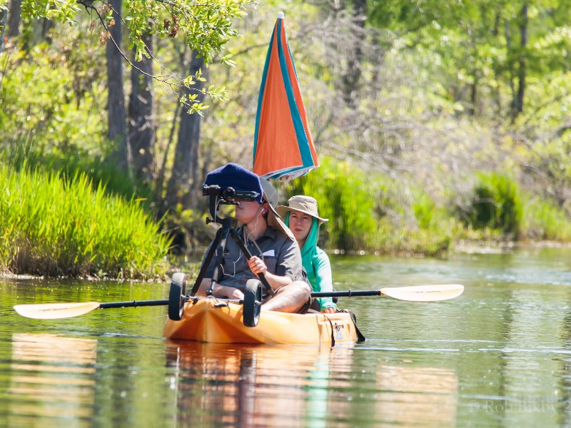 Kayaking in the Okefenokee Swamp
