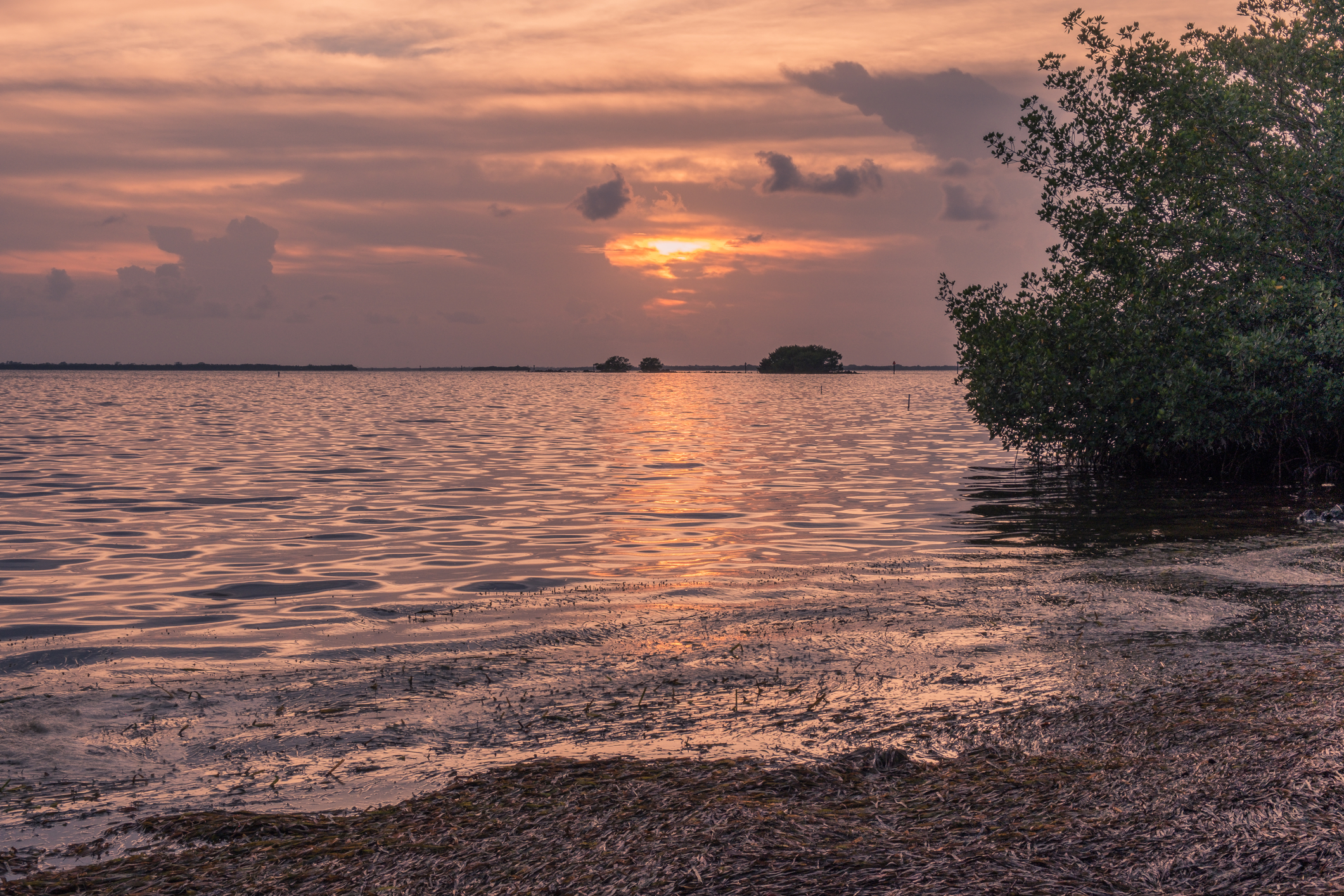 Pineland Monument Park, Pine Island, Fort Myers