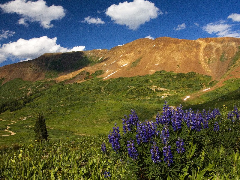 Paradise Basin and Mt. Baldy near Crested Butt