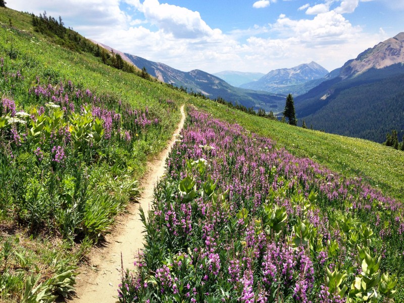 401 trail, Crested Butte