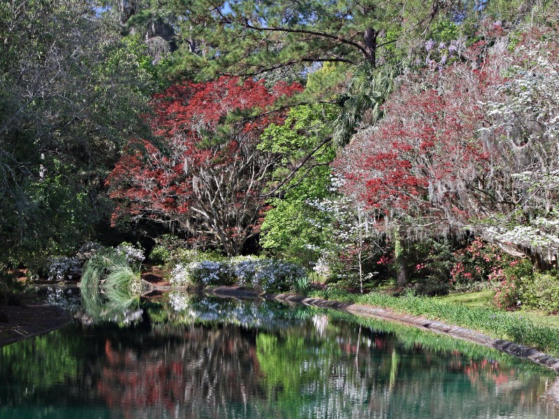 Alfred B. Maclay Gardens State Park