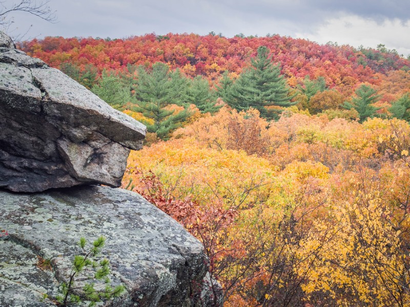 Blue Hills Reservation State Park