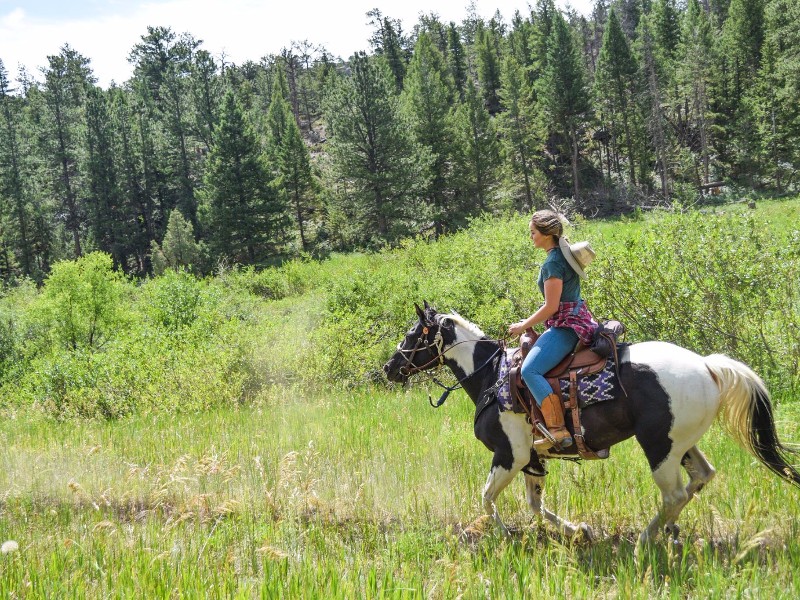 Cherokee Park Ranch